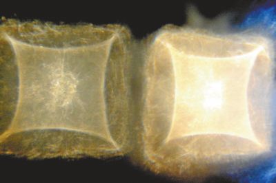 河南汝州安庄村寺庙现神秘银幕 众多村民围观