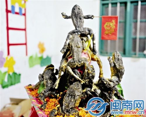 牛蛙做成的“力争上游”