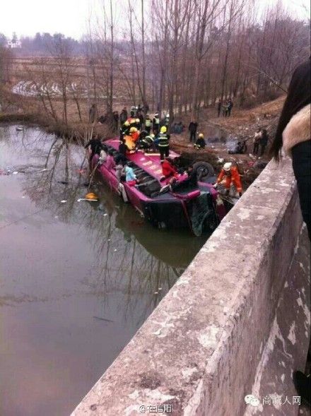 图片来自网络