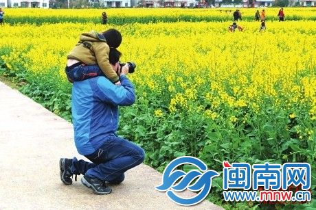 油菜花美景吸引了许多市民来赏花、拍照
