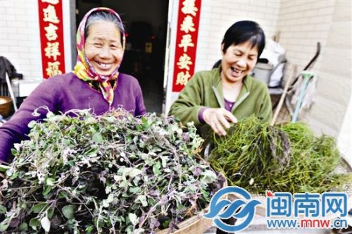 采得草药，如获至宝