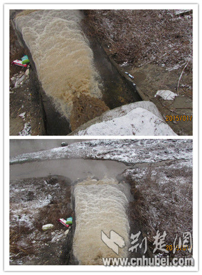 化工园某出水口（村民拍于1月29日）