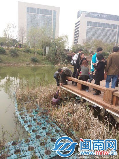 游客合力把落水女子拉上來