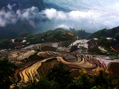 政和念山梯田旅游景点交通攻略 田园如歌四季