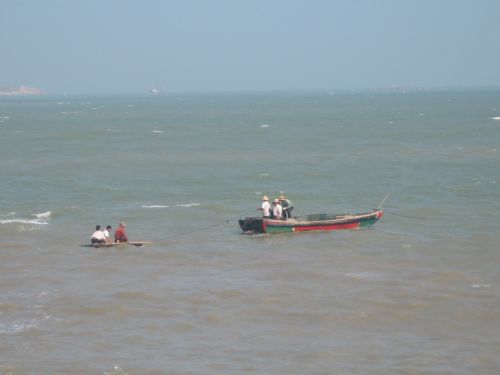 “海豚”服务队:海岸线上的生命守护者