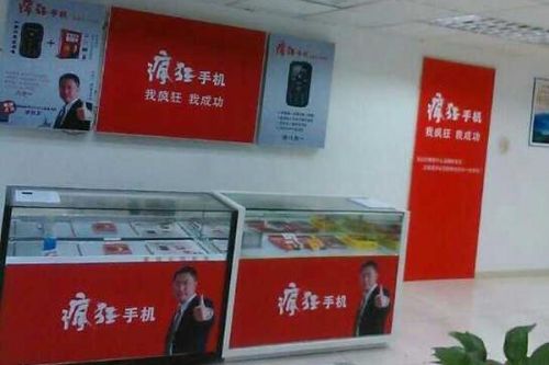 疯狂英语李阳卖疯狂手机 网友吐槽:手机能打老