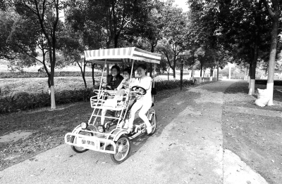 踏青賞花好時節(jié)