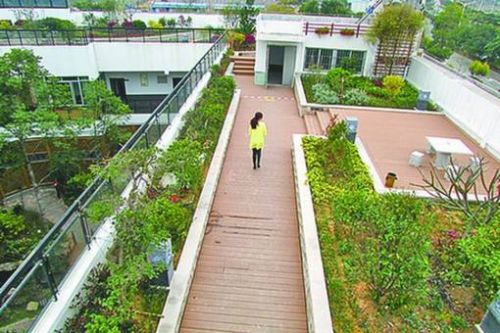 记者昨获悉，面积680平方米的莆田市首个屋顶花园项目已竣工，亮相绶溪公园。