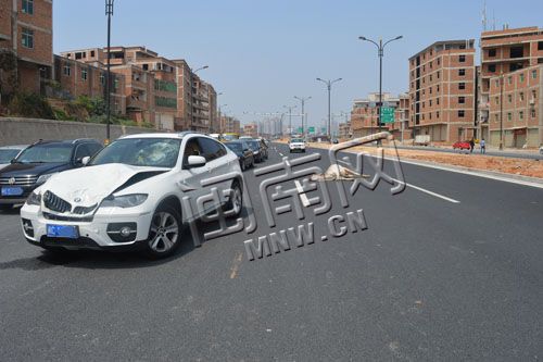 白色宝马引擎盖严重变形，公牛躺在车道上口吐白沫