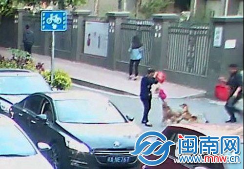 视频监控录像显示，陈阿姨被咬之后，两只狗再次扑上前去攻击陈阿姨