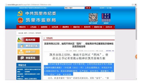 网站 截图