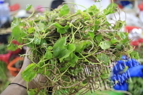 漳州今日天气预报:白天气温18℃~27℃ 降水不