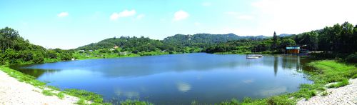 风景