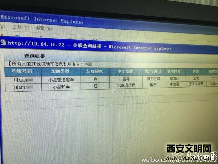 成都被打女司机卢琴照片资料被人肉 车牌川ad7t67违章