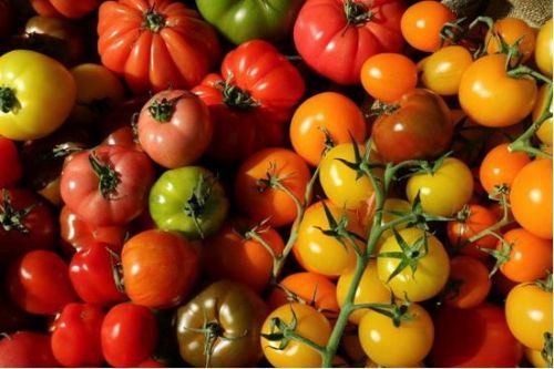 佳能eos m3样张_佳能60d 样张_佳能70d和尼康d7100风景样张对比