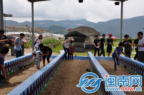 三位小朋友一起参加小猪赛跑比赛