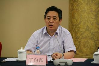 丁向阳，出生于1959年9月，2013年3月到任，此前任北京市副市长。