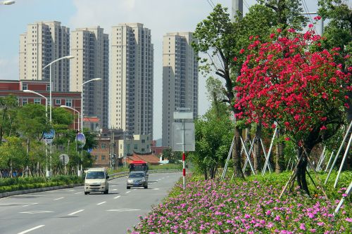 道路景观提升行车处处皆景
