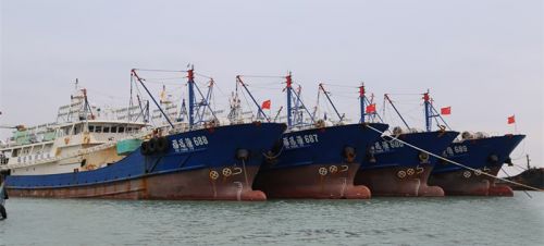石狮远洋渔业纵身“蓝海”