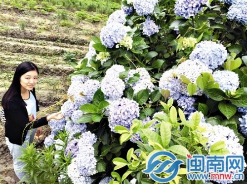 寮€鍦ㄥ啘瀹舵埧鍓嶅眿鍚庣殑缁ｇ悆鑺憋紝鎵潛鏉戞櫙