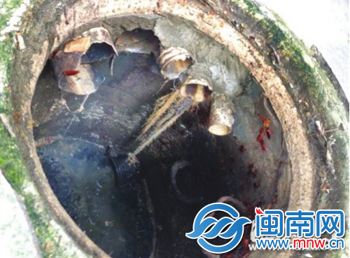 雨水井内，伸出大大小小数根私接的排污管