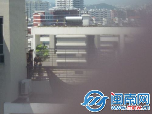 巡逻特警