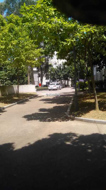 厦大一教工坠楼死亡