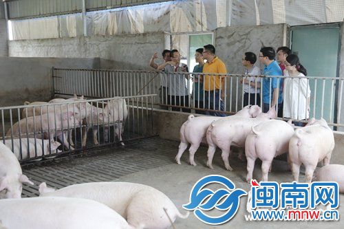 采用漏缝地面，减少了用水量