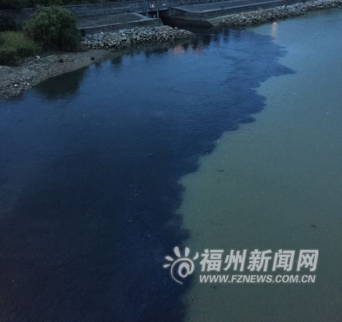 墨汁”让闽江变成“黑白配”。