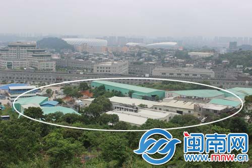 从高盖山顶放眼望去，大片的违建（画圈处）就在奥体中心附近