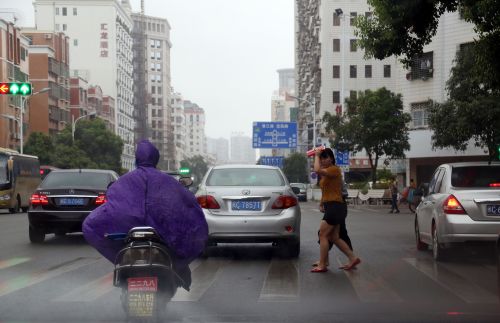 有雨风不大&ldquo;鲸鱼&rdquo;你来吗？