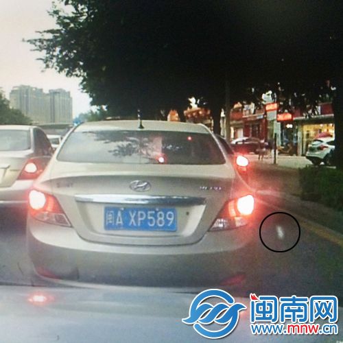 闽AXP589扔纸团(画圈处）