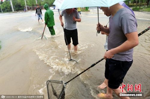 2015年6月27日，江苏省扬州市，平山堂路与瘦西湖路交叉口处的一处水塘向路面溢水，池塘内很多鱼儿被冲出，附近的居民带着渔网，漏盆、长杆等工具现场摸鱼，上演现代版的&ldquo;浑水摸鱼&rdquo;。