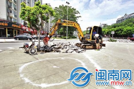 昨日,金山大道金洲路路口,挖机正准备将小榕树挖起,以便种大榕树,种树位置已用白灰标明