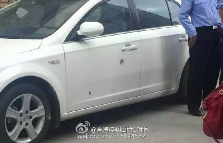 青海一男子持槍傷警5