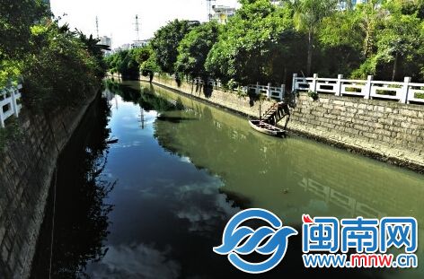 市民称，每天一大早，是红旗浦内河河水黑臭的时候
