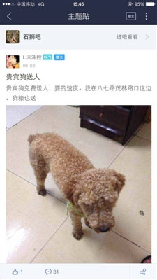 丢失的爱犬在“贴吧”发现