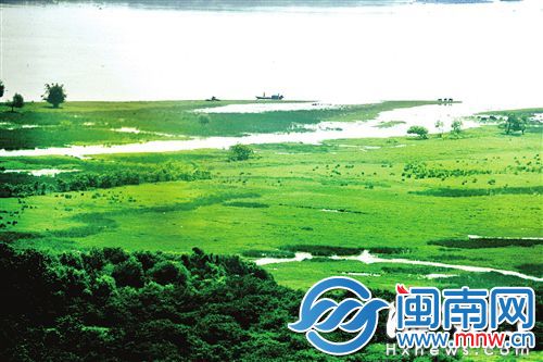 龙祥岛湿地，草木青翠，细水潺潺，一派原生态的乡野美景
