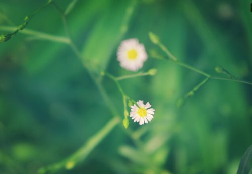 浙江最新5A级景区名单 浙江5A级景点介绍资料