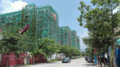 南靖天赐良源小区停工数月，藤状植物爬满外墙