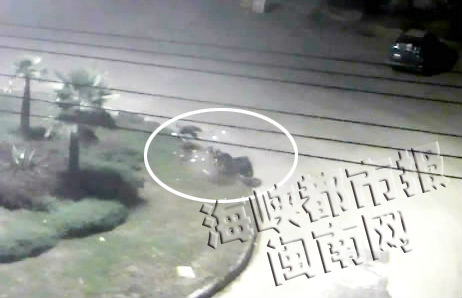 摩托车撞环岛,司机飞了出去(监控视频截图画圈处)