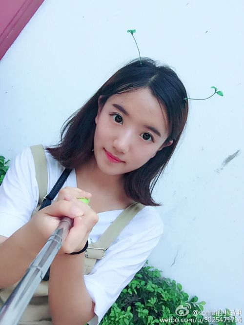 豆芽花發(fā)夾 萌出血