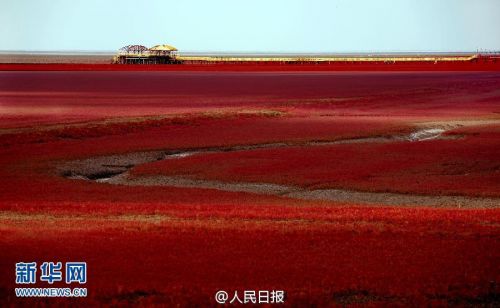 盘锦红海辽宁滩景点地址攻略主要攻略最全v景点门票(交通)组图阿拉善图片