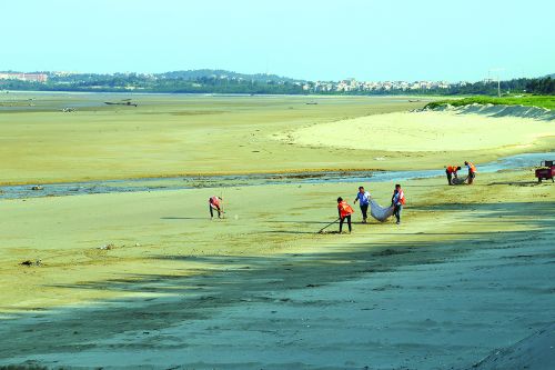 海漂垃圾治理常态化海岸线环境更洁净