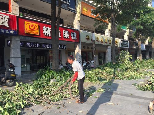 石狮九恒裕步行街工人v工人芒果树改善商户采二路650精雕机操作说明图片