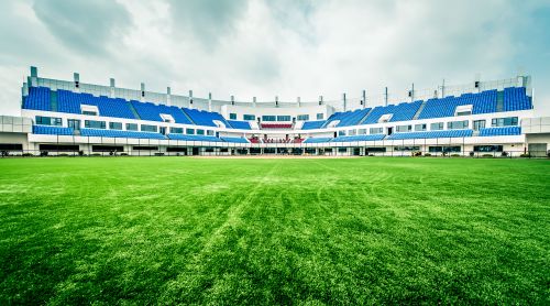 1116612319_14426282002771n