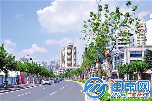 大渡河路中间分车带是硬“挤”出来的，一米多宽的树池里也种植了一排大树