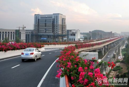福湾路主路道路两旁摆满鲜花