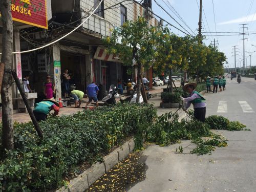 城市美容師假日不休息