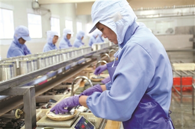 漳州技术有限公司